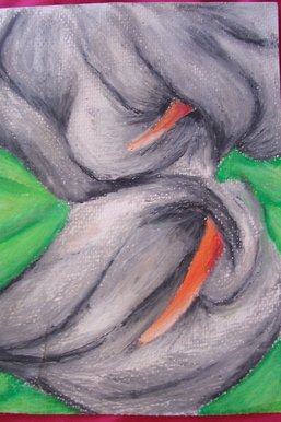Lillies
