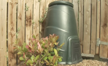 The compost bin