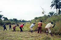 Local people clear away brushland to make an airstrip