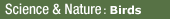 Visit BBC Science & Nature's  Bird section