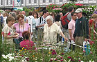 People looking at a stand