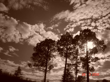 Sunlight