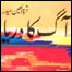 آگ کا دریا