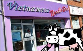 Greedy Cow at the noodle bar