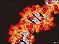 DNA