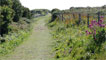 A sheltered lane
