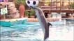 Shaka Sea World, Durban