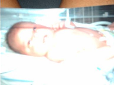 baby leo
