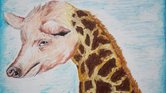 Pigiraffe