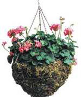 Hangnig basket