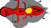 Spaceship-Visual...