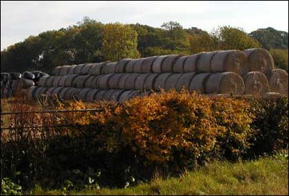 Autumn in Herefordshire.