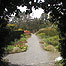 Castlwellan (Image c/o Northern Ireland Forest Service)
