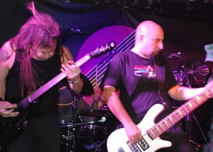 Breed 77
