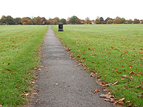 Stray, Harrogate
