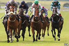 horse racing, pa
