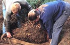 Ease a sheet of hessian beneath it