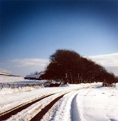 Tyre tracks in the snow... 