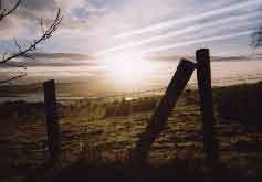 sunrise