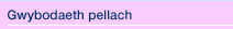 Gwybodaeth pellach