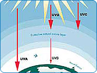 UV rays