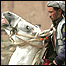 آلبوم عکس
