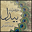 گزیده غزلیات بیدل