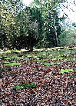 Headstones lie flat in the Gracehill burial ground