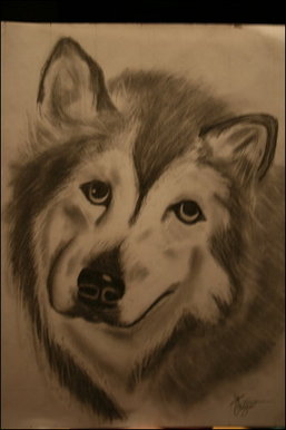 Dog