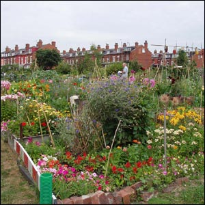 a colourful plot