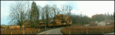 A view of Alnwick Garden - The treehouse