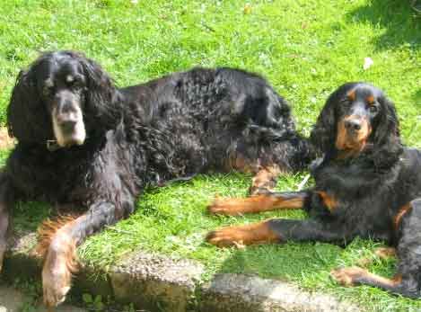 Ella and Bella