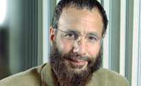 Cat Stevens