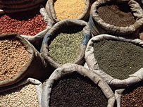 Spices