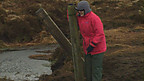 Tarddle Afon Hafren ar Fynydd Pumlumon