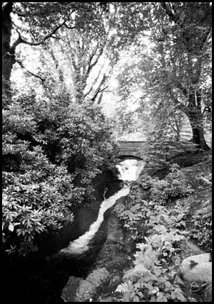 Glen River, Donard Park, Newcastle
