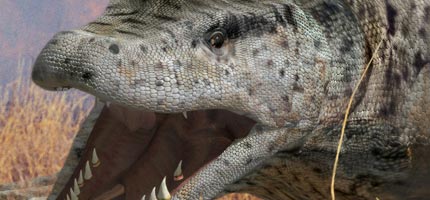 Megalania