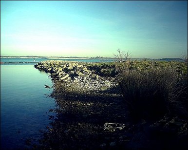 Grafham