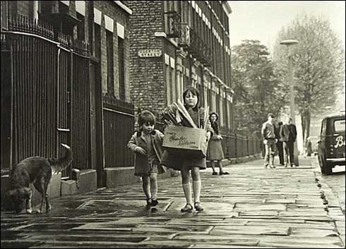 Dont drop the firewood! Corner of Eccleston St. l960