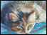 Gallery page - Paws for Thought