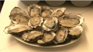 oyster