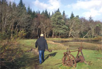Cerddwr ar y llwybr