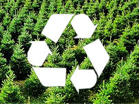 Recycling 