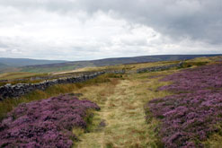 Yorkshire Dales