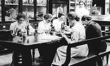 Botany lesson