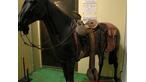 Mexican Horse Saddle