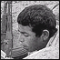 عکس از کاوه گلستان