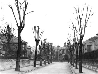 Unidentified Picture Sheffield image