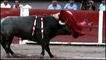 José Tomas atacado por touro