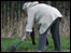 Lady digs hole to plant a tree
